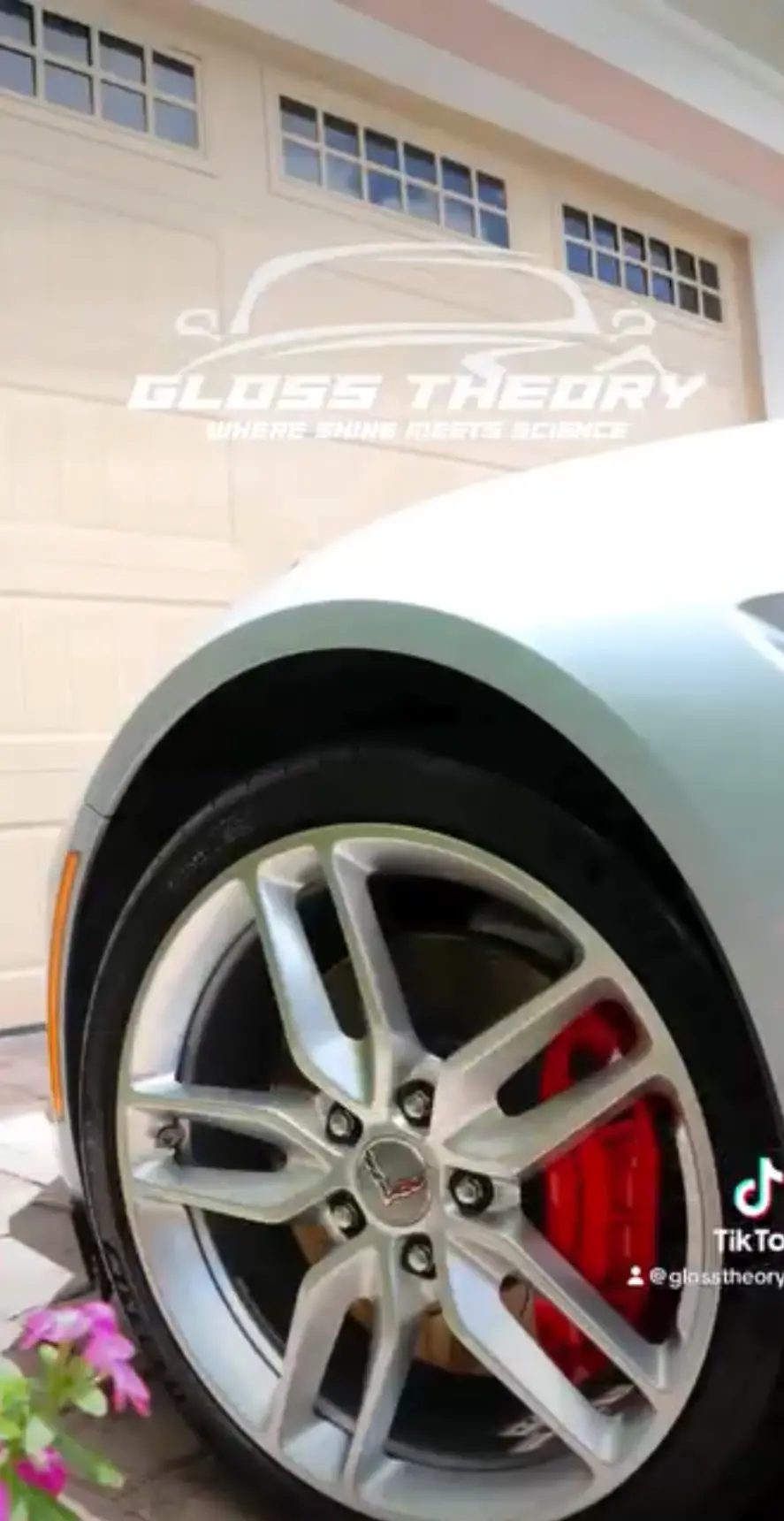 Corvette wheel with red calipers, cleaned and dressed